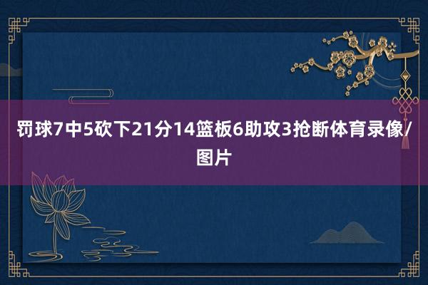 罚球7中5砍下21分14篮板6助攻3抢断体育录像/图片
