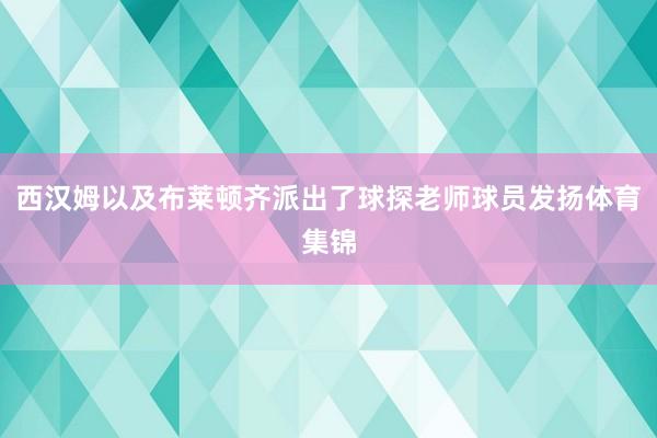 西汉姆以及布莱顿齐派出了球探老师球员发扬体育集锦