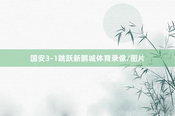 国安3-1跳跃新鹏城体育录像/图片