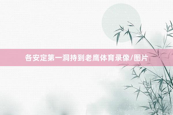 各安定第一洞持到老鹰体育录像/图片