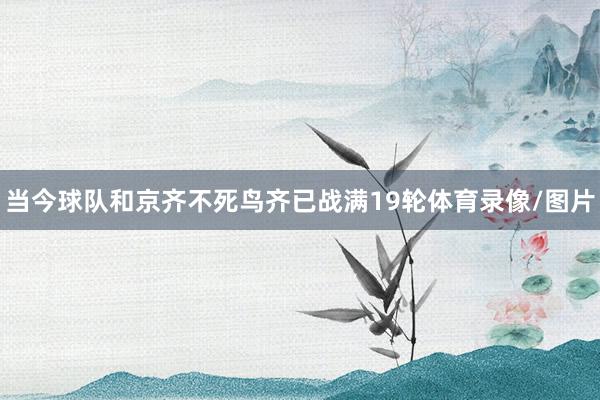 当今球队和京齐不死鸟齐已战满19轮体育录像/图片