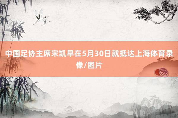 中国足协主席宋凯早在5月30日就抵达上海体育录像/图片