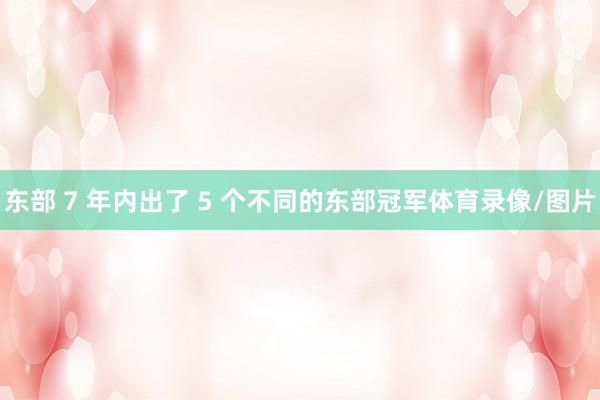 东部 7 年内出了 5 个不同的东部冠军体育录像/图片