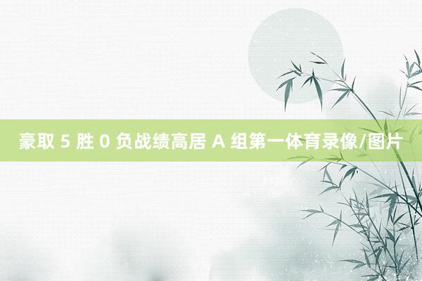 豪取 5 胜 0 负战绩高居 A 组第一体育录像/图片