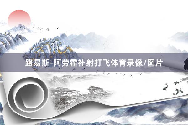 路易斯-阿劳霍补射打飞体育录像/图片