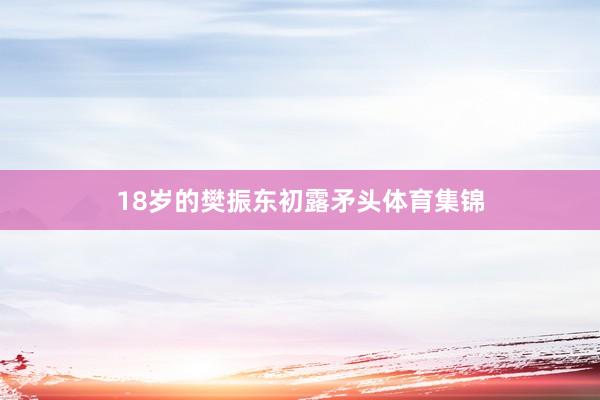 18岁的樊振东初露矛头体育集锦
