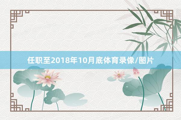 任职至2018年10月底体育录像/图片