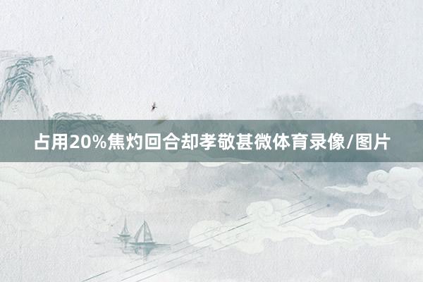 占用20%焦灼回合却孝敬甚微体育录像/图片