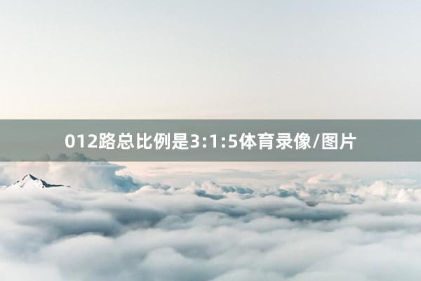 012路总比例是3:1:5体育录像/图片