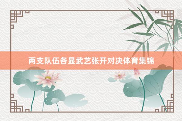 两支队伍各显武艺张开对决体育集锦