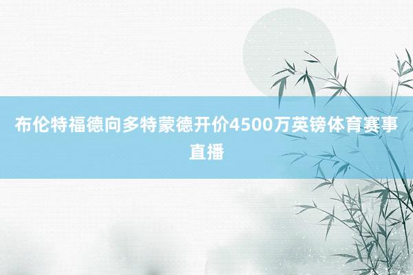 布伦特福德向多特蒙德开价4500万英镑体育赛事直播