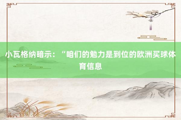 小瓦格纳暗示：“咱们的勉力是到位的欧洲买球体育信息