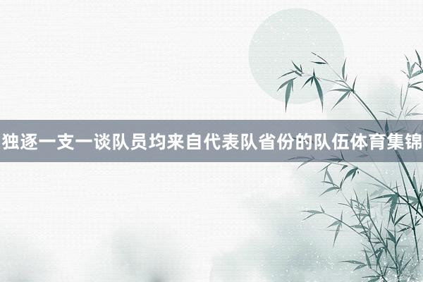 独逐一支一谈队员均来自代表队省份的队伍体育集锦