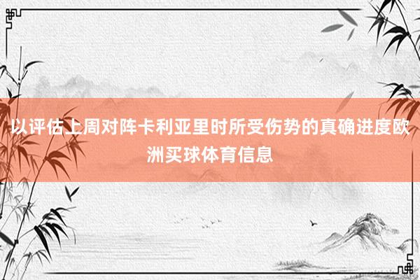 以评估上周对阵卡利亚里时所受伤势的真确进度欧洲买球体育信息