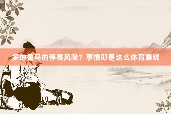 多纳鲁马的停赛风险？事情即是这么体育集锦