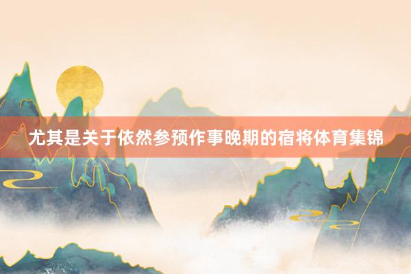 尤其是关于依然参预作事晚期的宿将体育集锦