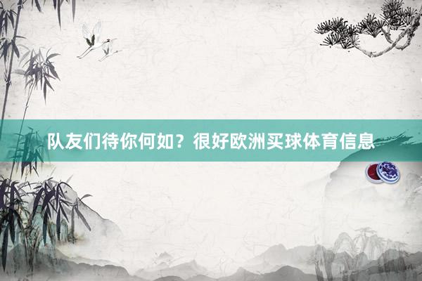 队友们待你何如？很好欧洲买球体育信息
