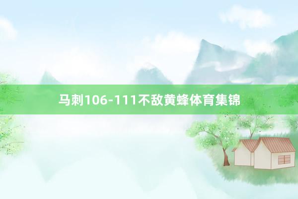 马刺106-111不敌黄蜂体育集锦