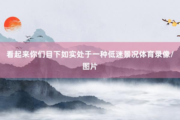 看起来你们目下如实处于一种低迷景况体育录像/图片