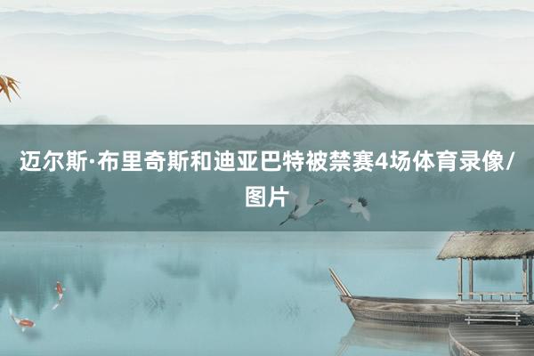 迈尔斯·布里奇斯和迪亚巴特被禁赛4场体育录像/图片