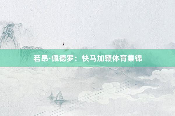 若昂·佩德罗：快马加鞭体育集锦