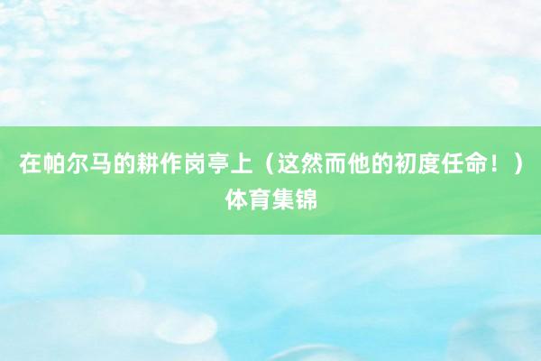 在帕尔马的耕作岗亭上（这然而他的初度任命！）体育集锦