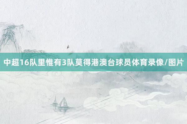 中超16队里惟有3队莫得港澳台球员体育录像/图片