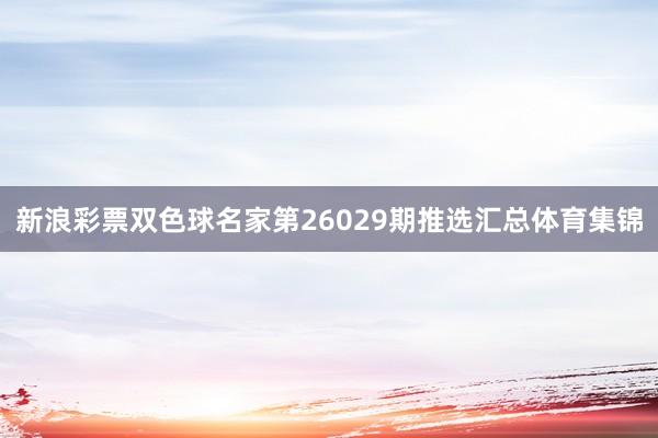 新浪彩票双色球名家第26029期推选汇总体育集锦