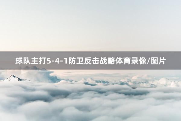 球队主打5-4-1防卫反击战略体育录像/图片