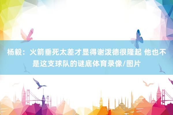 杨毅：火箭垂死太差才显得谢泼德很隆起 他也不是这支球队的谜底体育录像/图片