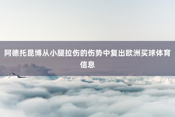 阿德托昆博从小腿拉伤的伤势中复出欧洲买球体育信息
