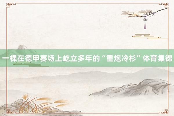 一棵在德甲赛场上屹立多年的“重炮冷杉”体育集锦