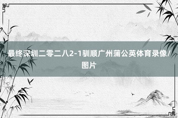 最终深圳二零二八2-1驯顺广州蒲公英体育录像/图片