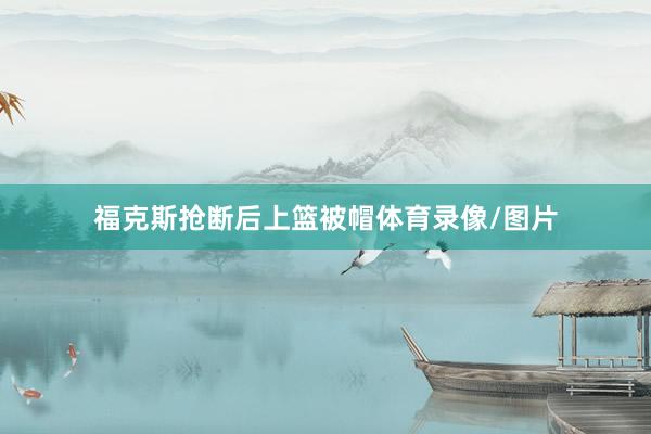 福克斯抢断后上篮被帽体育录像/图片