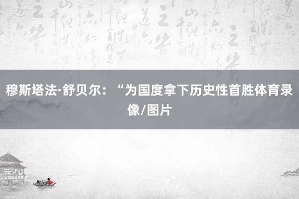 穆斯塔法·舒贝尔：“为国度拿下历史性首胜体育录像/图片
